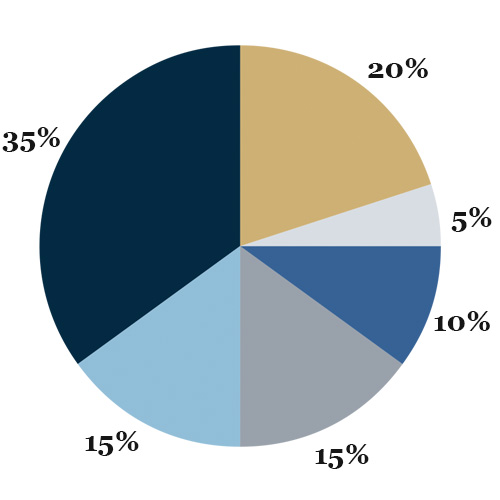 investment portfolio percentage
